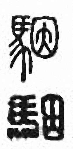 金石大字典的篆刻印章駰