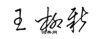 駱恆光王柳新草書個性簽名怎么寫