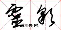 朱錫榮靈彩草書怎么寫