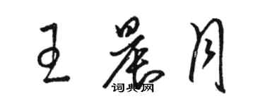 駱恆光王晨月草書個性簽名怎么寫