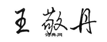 駱恆光王敬丹行書個性簽名怎么寫