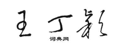 駱恆光王丁穎草書個性簽名怎么寫