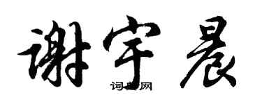 胡問遂謝宇晨行書個性簽名怎么寫