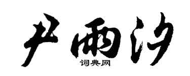 胡問遂尹雨汐行書個性簽名怎么寫