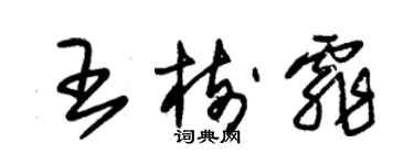 朱錫榮王樹霏草書個性簽名怎么寫