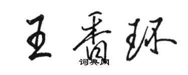 駱恆光王香環行書個性簽名怎么寫