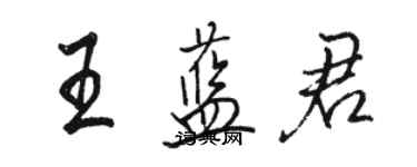 駱恆光王藍君行書個性簽名怎么寫