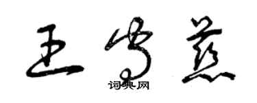 曾慶福王守慈草書個性簽名怎么寫