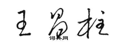 駱恆光王昌柱草書個性簽名怎么寫