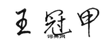 駱恆光王冠甲行書個性簽名怎么寫