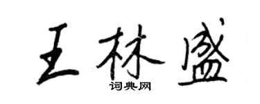 王正良王林盛行書個性簽名怎么寫