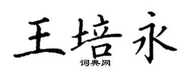丁謙王培永楷書個性簽名怎么寫