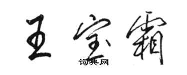 駱恆光王寶霜行書個性簽名怎么寫