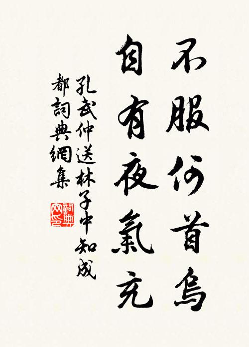 十有八分天不管,百無一遂老如期 詩詞名句