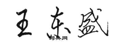 駱恆光王東盛行書個性簽名怎么寫