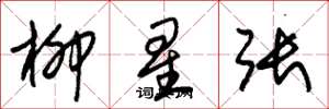 朱錫榮柳星張草書怎么寫