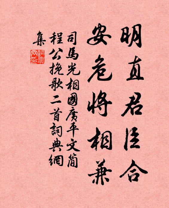 司馬光明直君臣合,安危將相兼書法作品欣賞