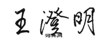 駱恆光王澄明行書個性簽名怎么寫