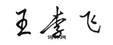 駱恆光王李飛行書個性簽名怎么寫