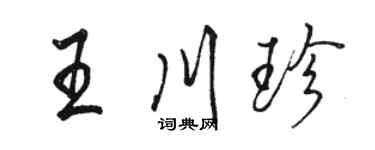 駱恆光王川珍行書個性簽名怎么寫