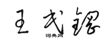 駱恆光王民鋼草書個性簽名怎么寫