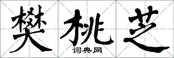 翁闓運樊桃芝楷書怎么寫