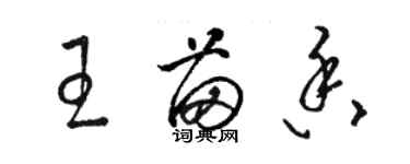 駱恆光王苗香草書個性簽名怎么寫