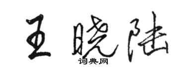 駱恆光王曉陸行書個性簽名怎么寫