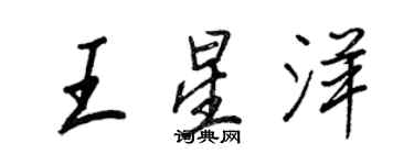 王正良王星洋行書個性簽名怎么寫