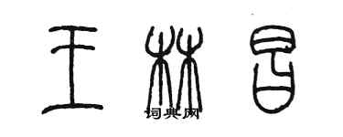 陳墨王林昌篆書個性簽名怎么寫