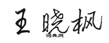 駱恆光王曉楓行書個性簽名怎么寫