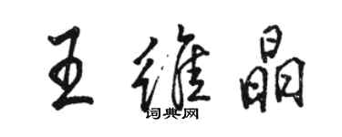 駱恆光王維晶行書個性簽名怎么寫