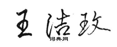 駱恆光王潔玫行書個性簽名怎么寫