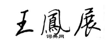 王正良王鳳展行書個性簽名怎么寫