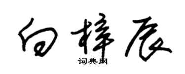 朱錫榮向梓辰草書個性簽名怎么寫