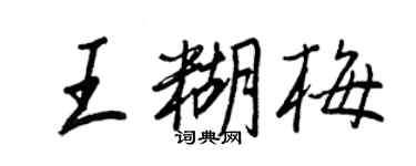 王正良王糊梅行書個性簽名怎么寫