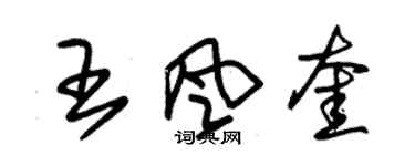 朱錫榮王風奎草書個性簽名怎么寫