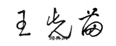 駱恆光王先苗草書個性簽名怎么寫