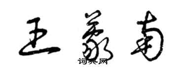 曾慶福王蒙南草書個性簽名怎么寫