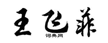 胡問遂王飛菲行書個性簽名怎么寫