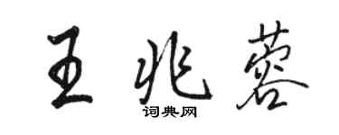 駱恆光王兆蓉行書個性簽名怎么寫