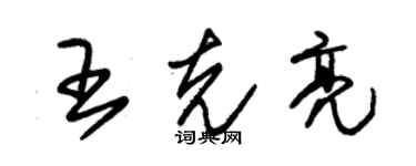 朱錫榮王克亮草書個性簽名怎么寫