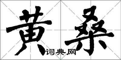 翁闓運黃桑楷書怎么寫