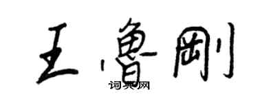 王正良王魯剛行書個性簽名怎么寫