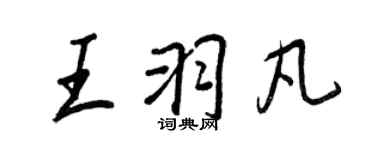 王正良王羽凡行書個性簽名怎么寫