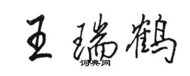 駱恆光王瑞鶴行書個性簽名怎么寫