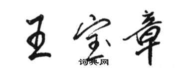 駱恆光王寶章行書個性簽名怎么寫