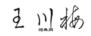 駱恆光王川梅草書個性簽名怎么寫