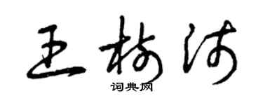 曾慶福王樹沛草書個性簽名怎么寫