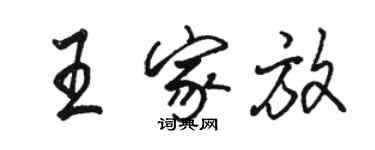 駱恆光王家放行書個性簽名怎么寫